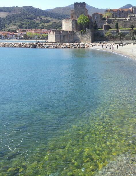 Charme A 20 M De La Plage Centre Village Collioure Exterior foto