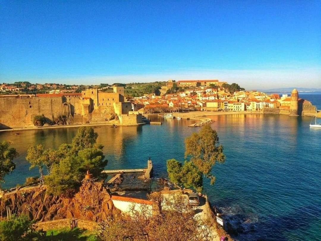 Charme A 20 M De La Plage Centre Village Collioure Exterior foto