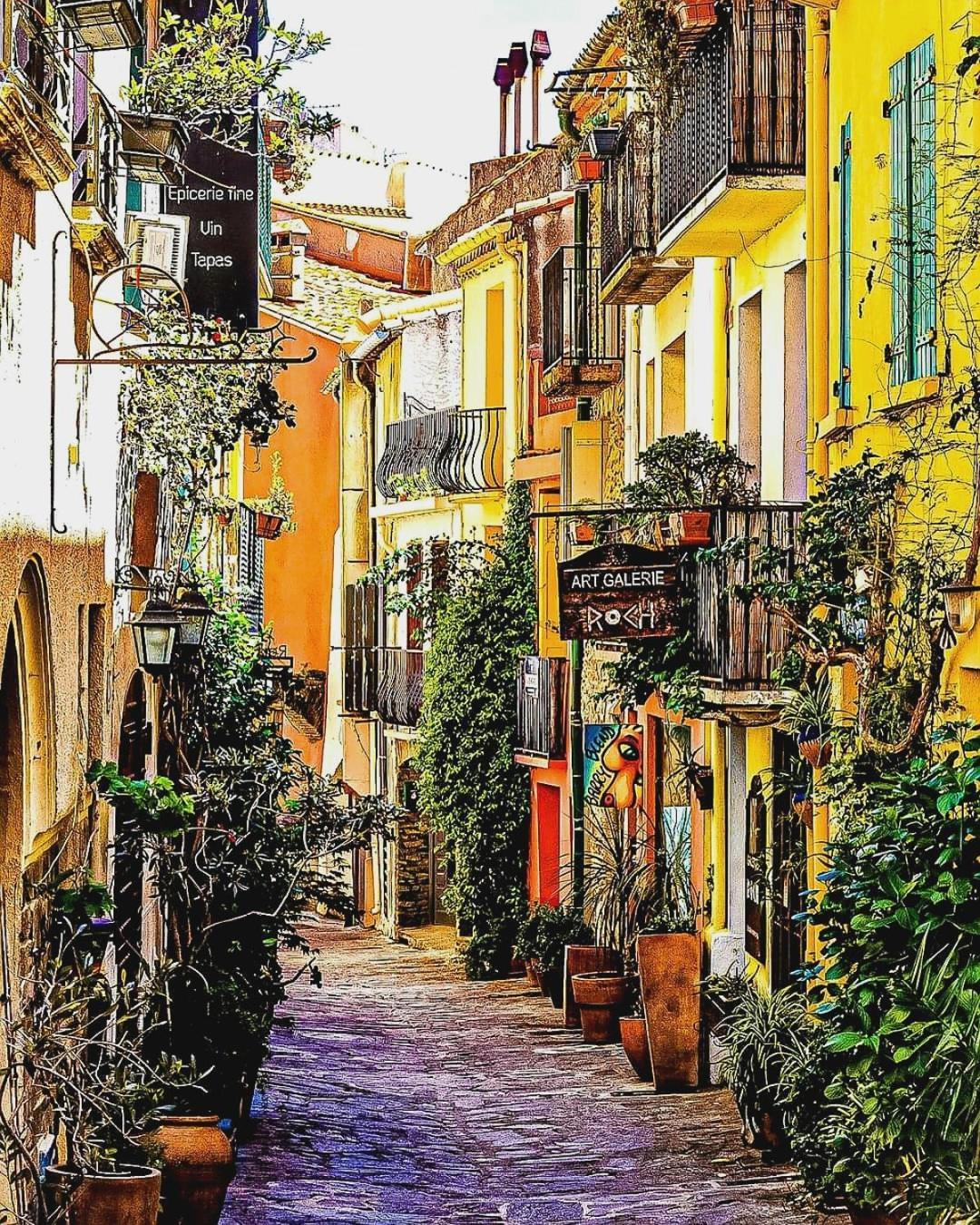 Charme A 20 M De La Plage Centre Village Collioure Exterior foto
