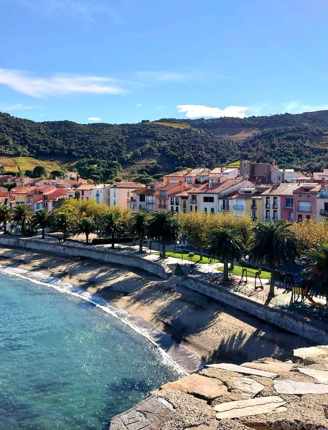 Charme A 20 M De La Plage Centre Village Collioure Exterior foto