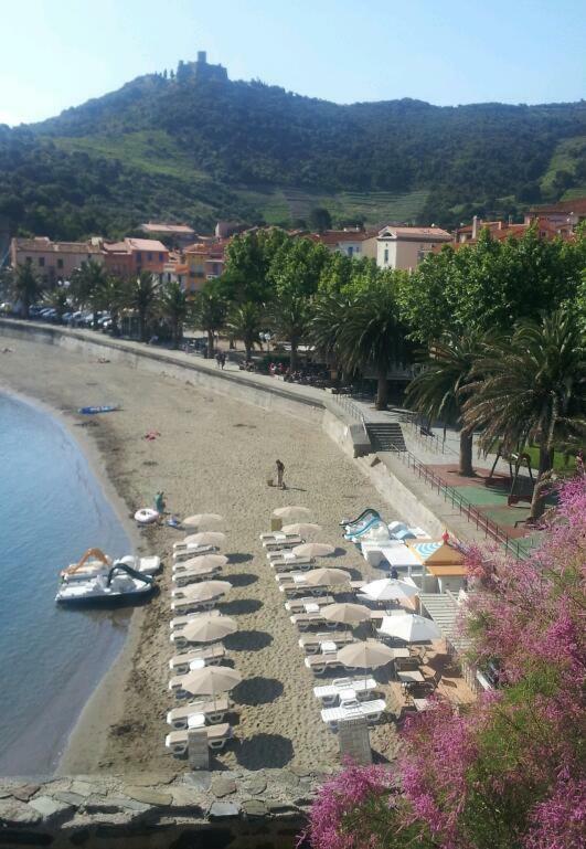 Charme A 20 M De La Plage Centre Village Collioure Exterior foto